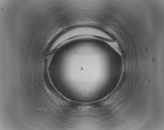 X0000062650448200601040922