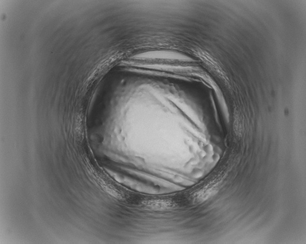 X0000062650449200601040922