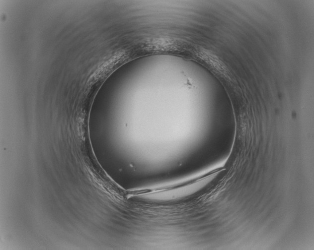 X0000062650450200601040922