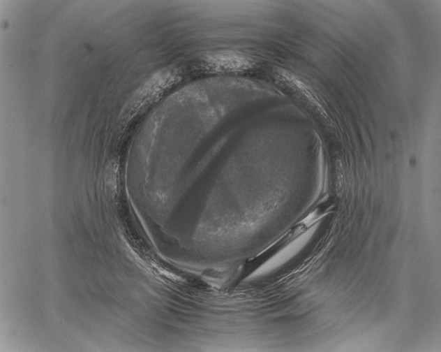 X0000062650451200601040922