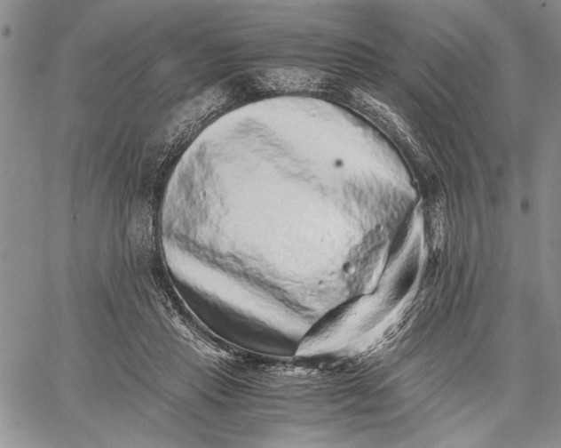 X0000062650453200601040922