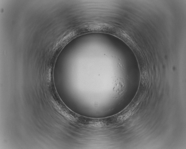 X0000062650454200601040922