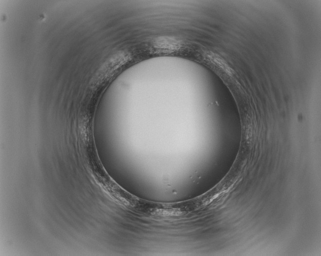 X0000062650455200601040922