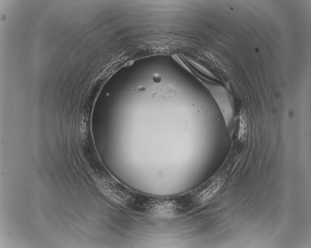 X0000062650456200601040922