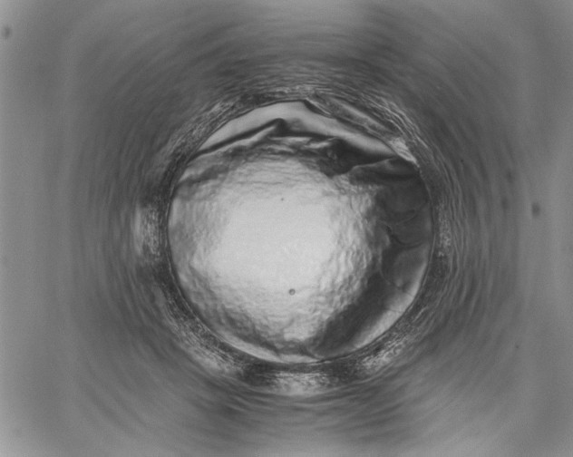 X0000062650457200601040922