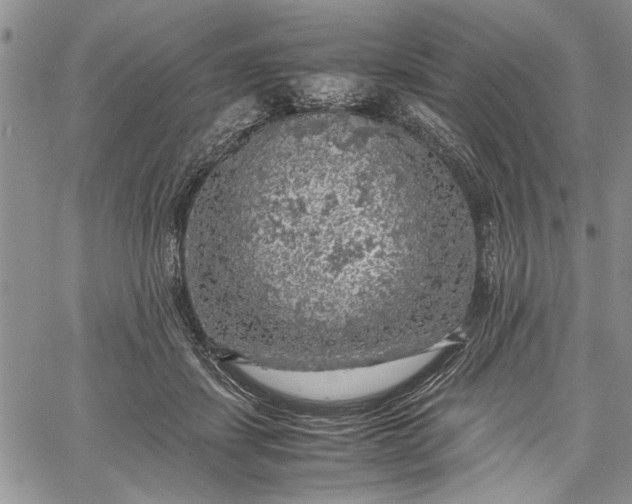 X0000062650459200601040922