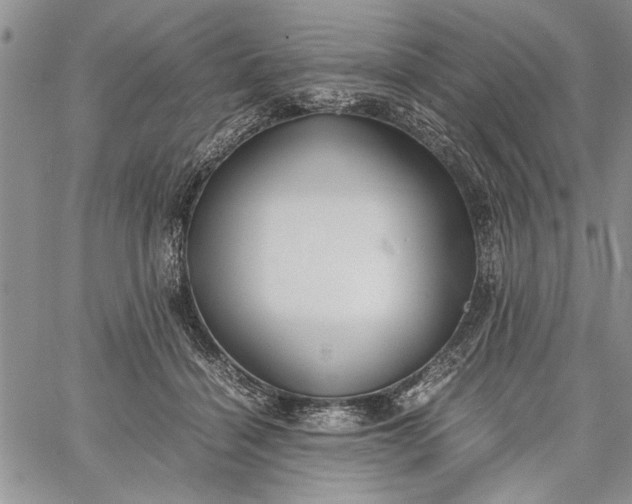 X0000062650460200601040922