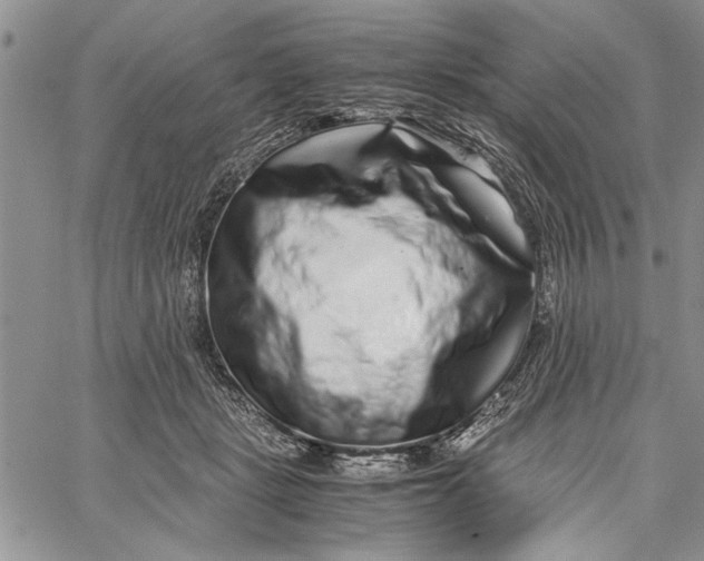 X0000062650461200601040922