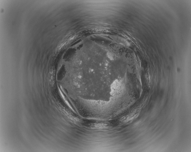 X0000062650462200601040922