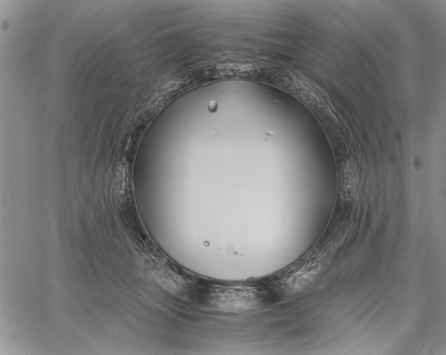 X0000062650463200601040922