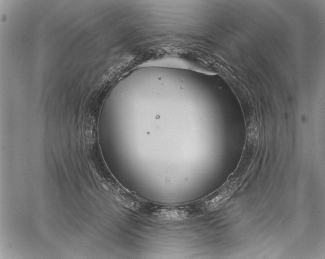 X0000062650464200601040922