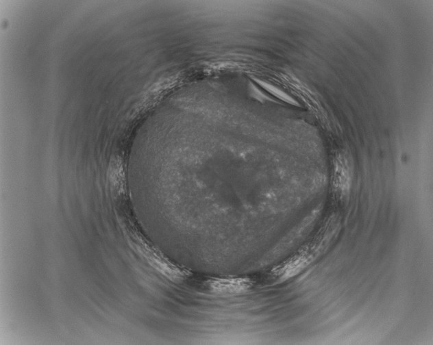 X0000062650465200601040922