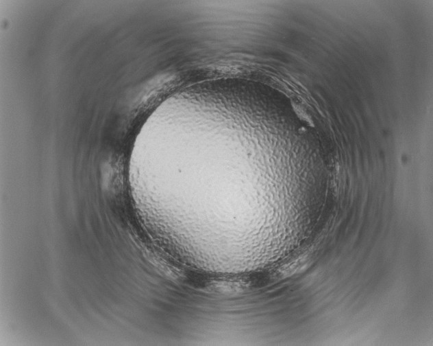 X0000062650466200601040922