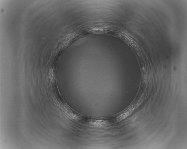 X0000062650467200601040922