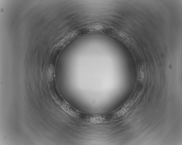 X0000062650468200601040922