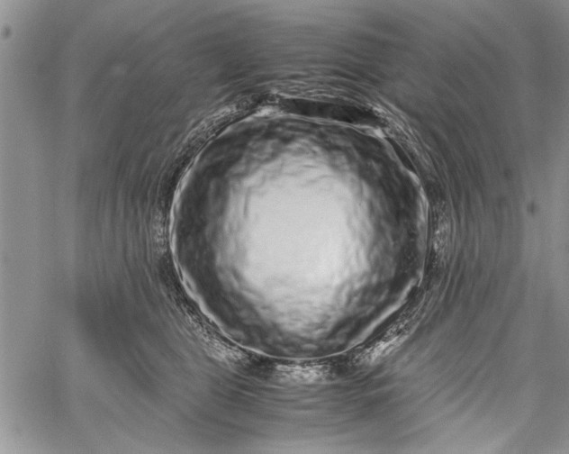 X0000062650469200601040922