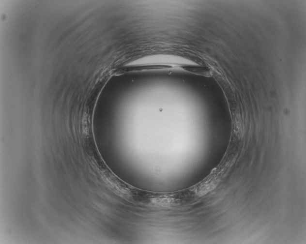 X0000062650470200601040922