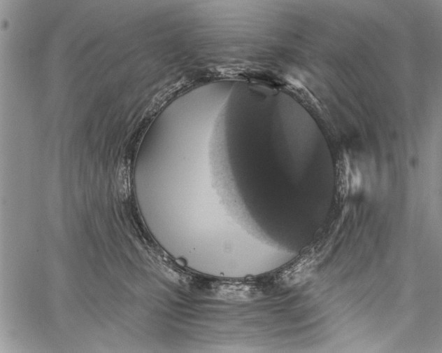 X0000062650471200601040922