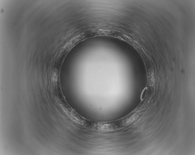 X0000062650472200601040922