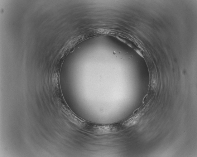 X0000062650473200601040922