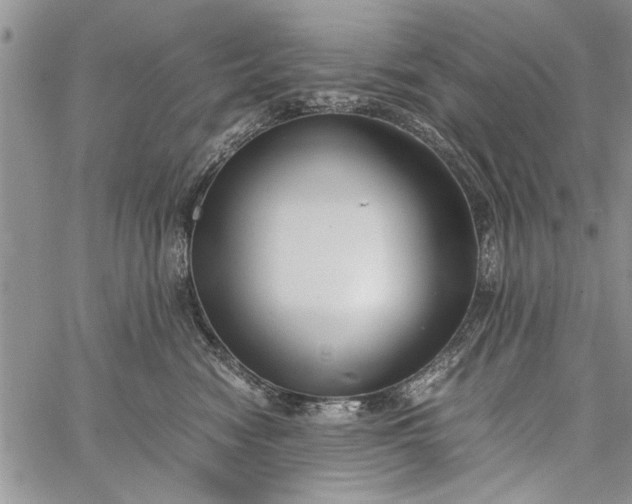 X0000062650474200601040922