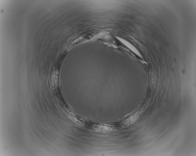 X0000062650475200601040923