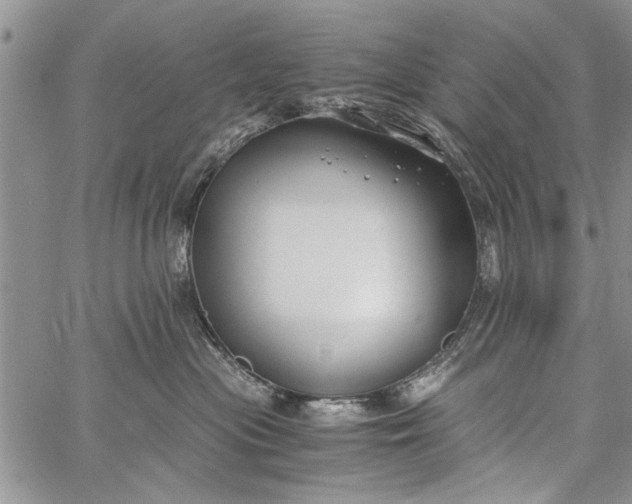 X0000062650477200601040923