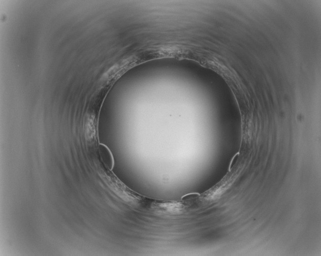 X0000062650478200601040923