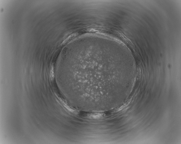 X0000062650479200601040923