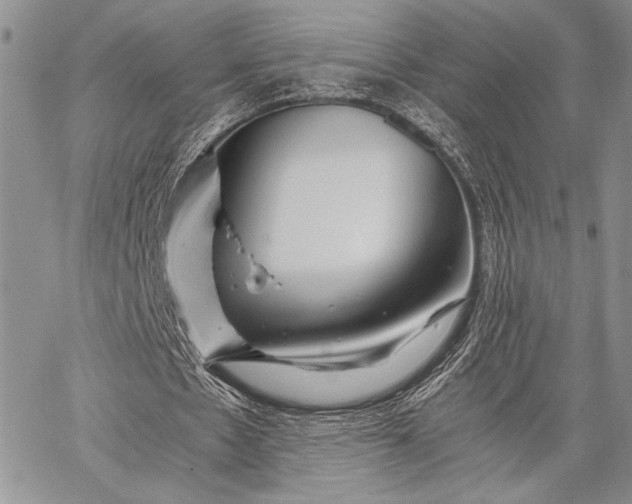 X0000062650481200601040922