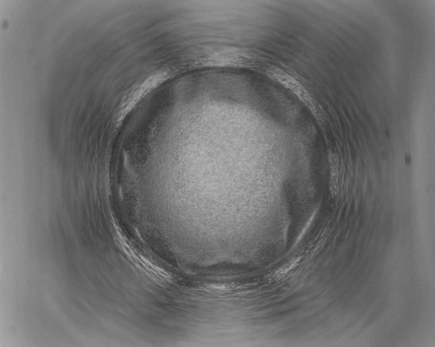 X0000062650482200601040922