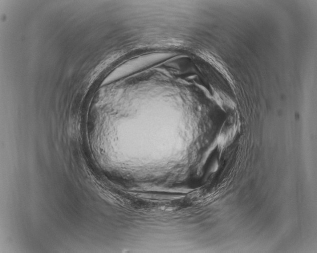 X0000062650483200601040922