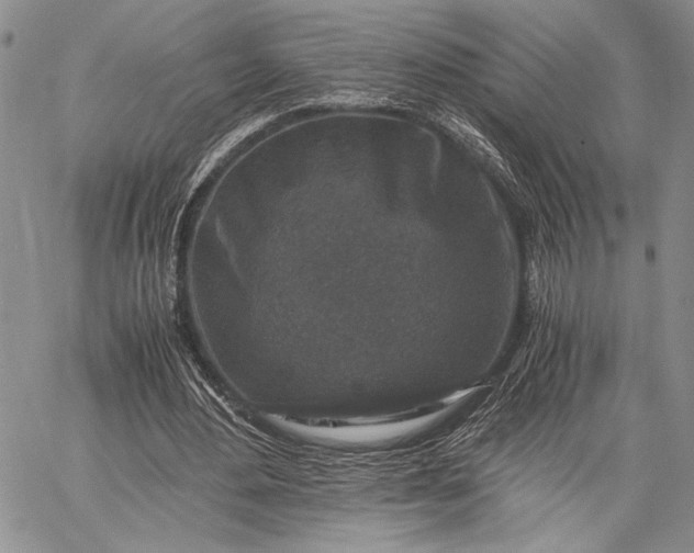 X0000062650484200601040922