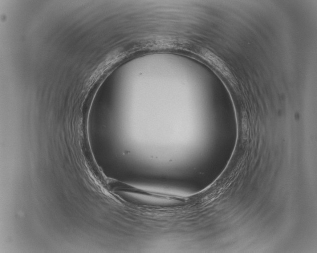 X0000062650485200601040922