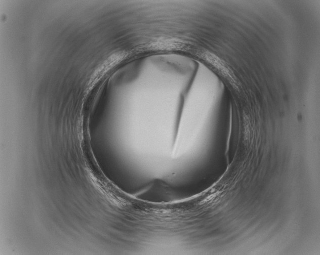 X0000062650486200601040922