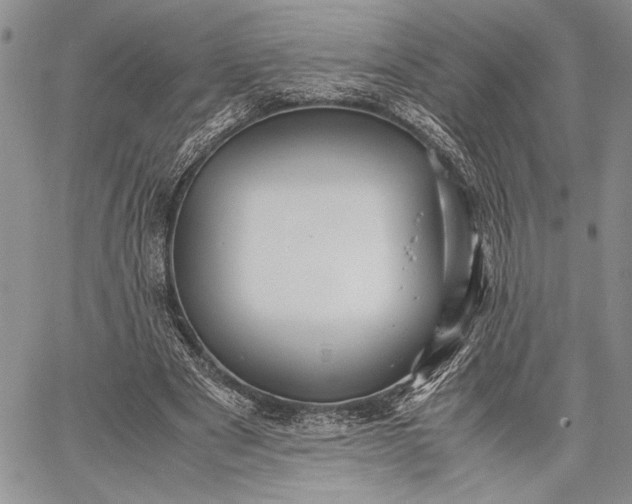 X0000062650489200601040922