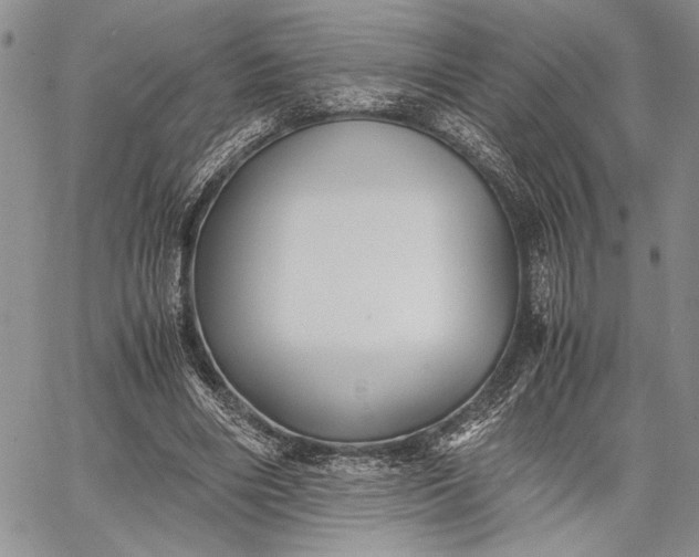 X0000062650490200601040922