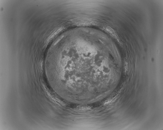 X0000062650491200601040922