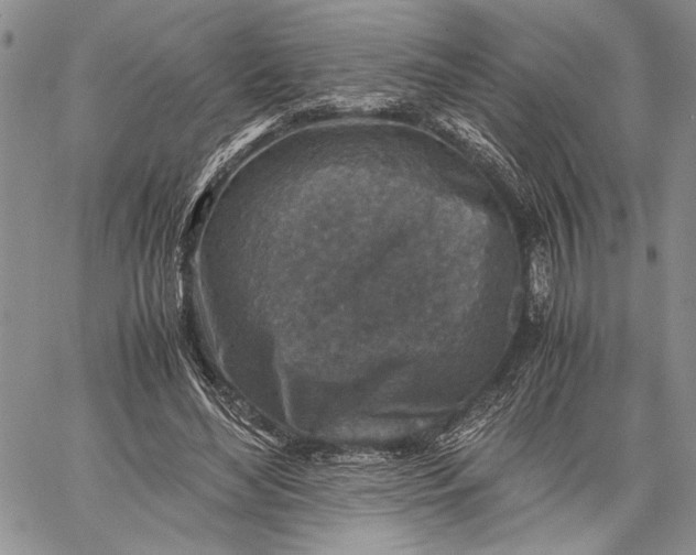 X0000062650492200601040922