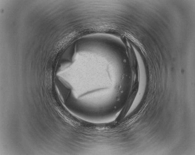 X0000062650493200601040922