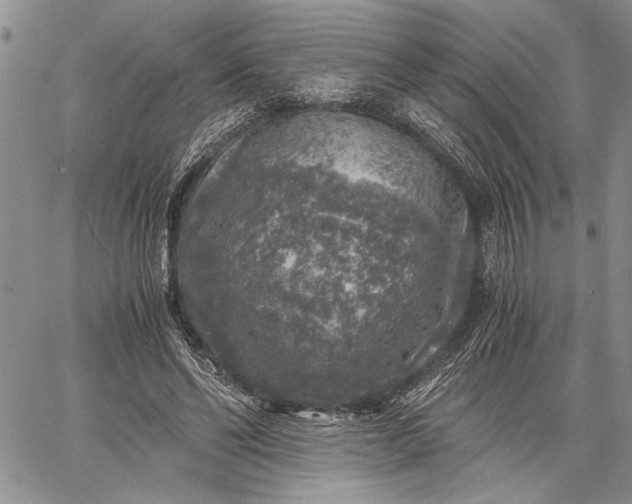 X0000062650494200601040922