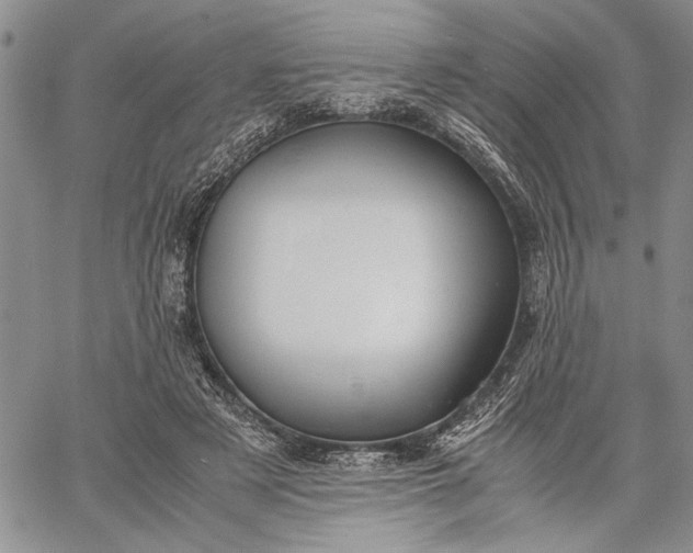 X0000062650497200601040922