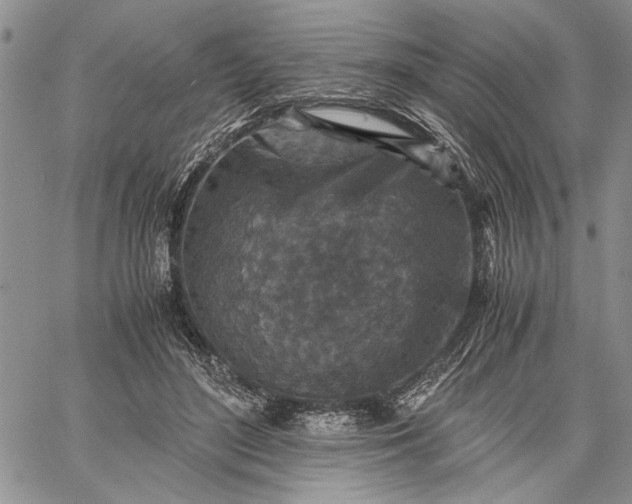 X0000062650500200601040921