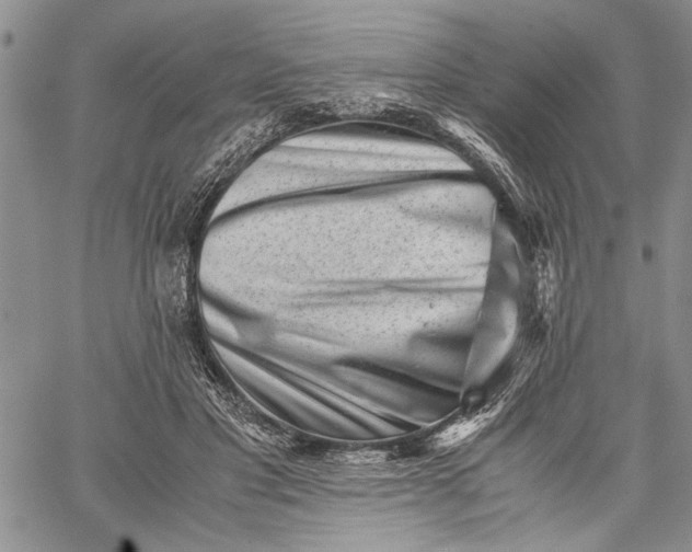 X0000062650501200601040921