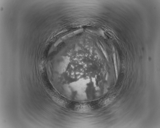 X0000062650503200601040921