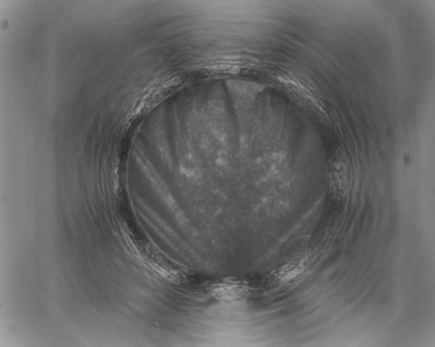 X0000062650504200601040921