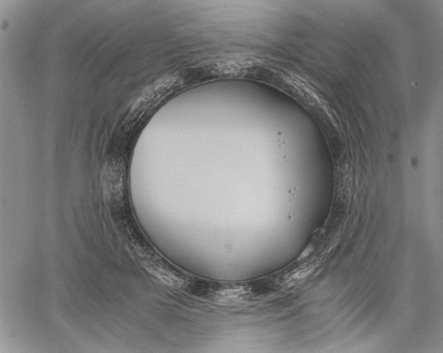 X0000062650505200601040921