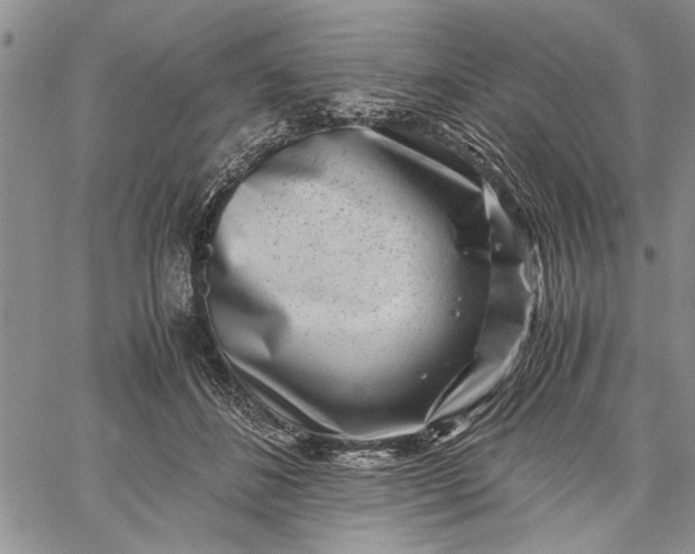 X0000062650508200601040921