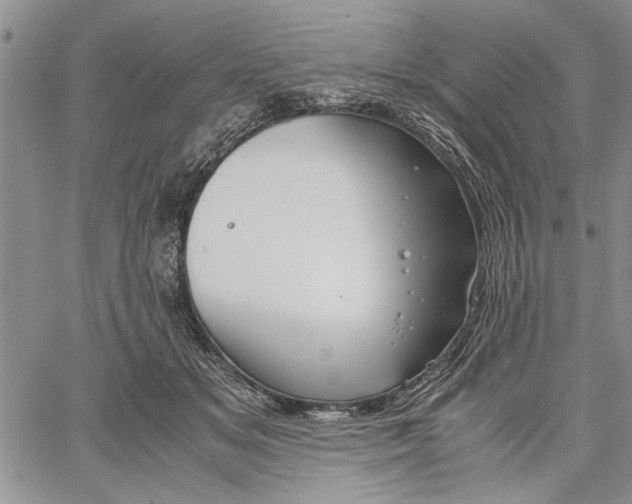 X0000062650509200601040921