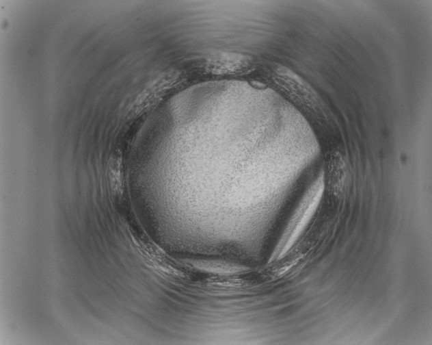 X0000062650510200601040921